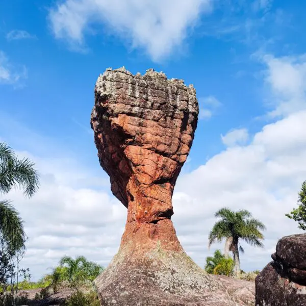 Parque Vila Velha: tudo o que você precisa saber para visitar